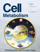 Cell Metabolism magazine cover