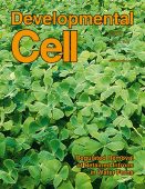 Developmental Cell magazine cover
