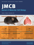 JMCB magazine cover