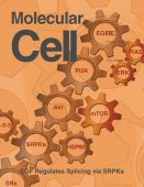 Molecular Cell magazine cover